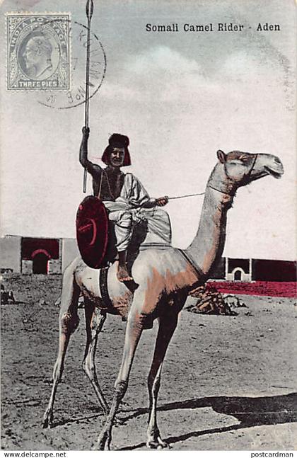 SOMALIA - Somali Camel Rider in Aden - Publ. I. Benghiat Son