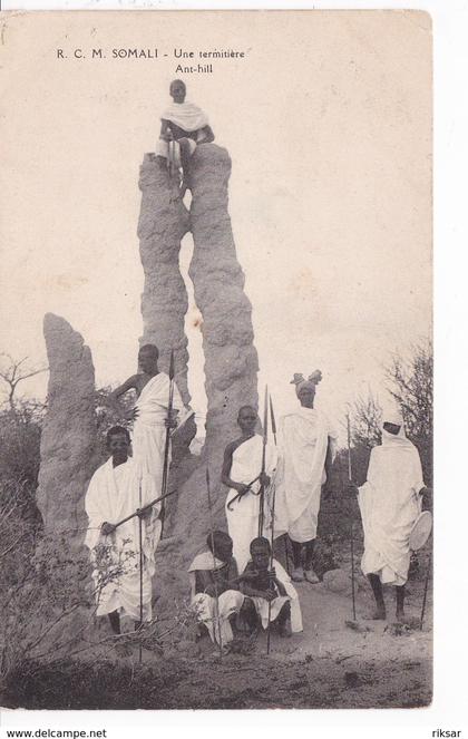 SOMALIE(TYPE) TERMITIERE