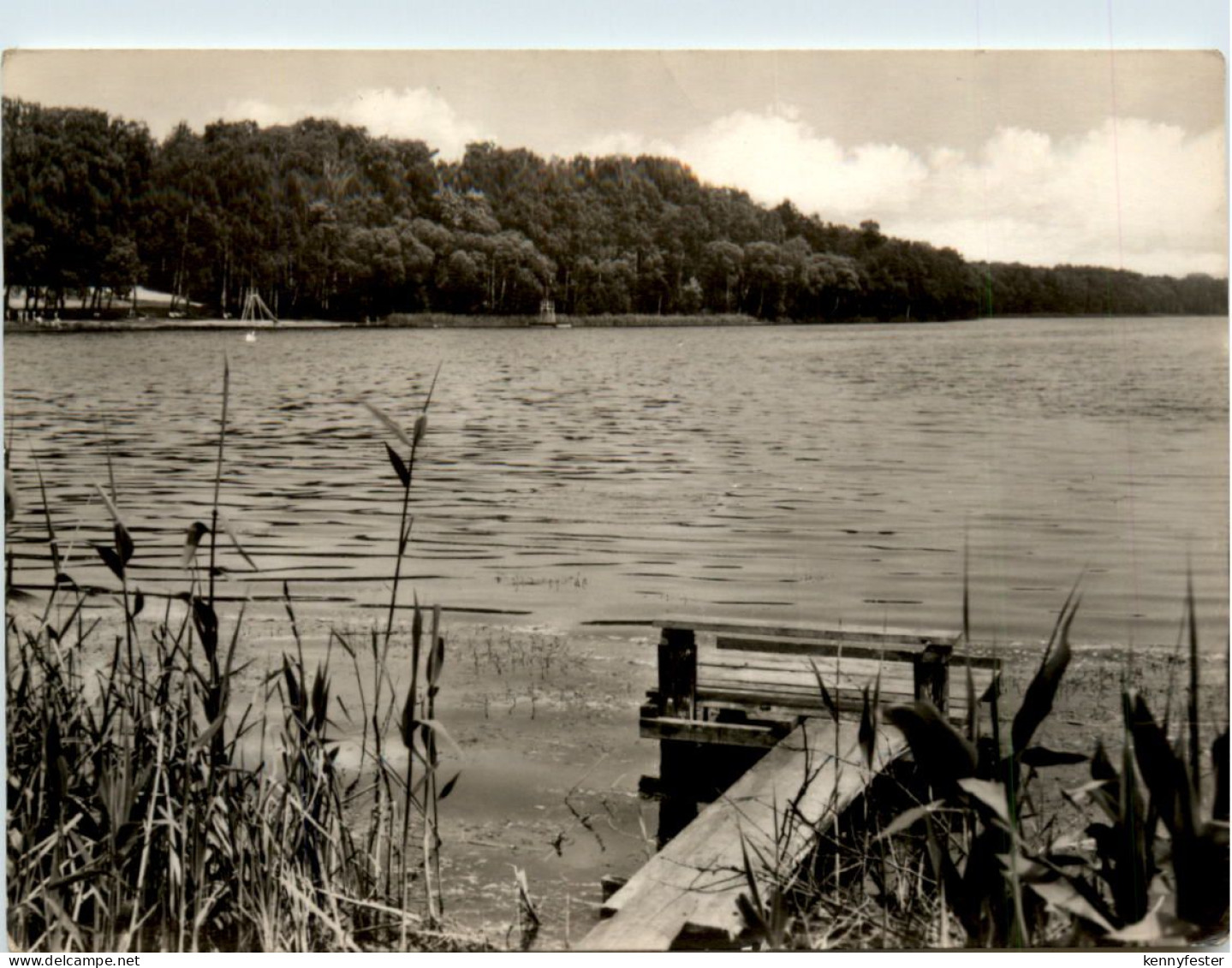 Sommerfeld Lr. Oranienburg, Beetzsee