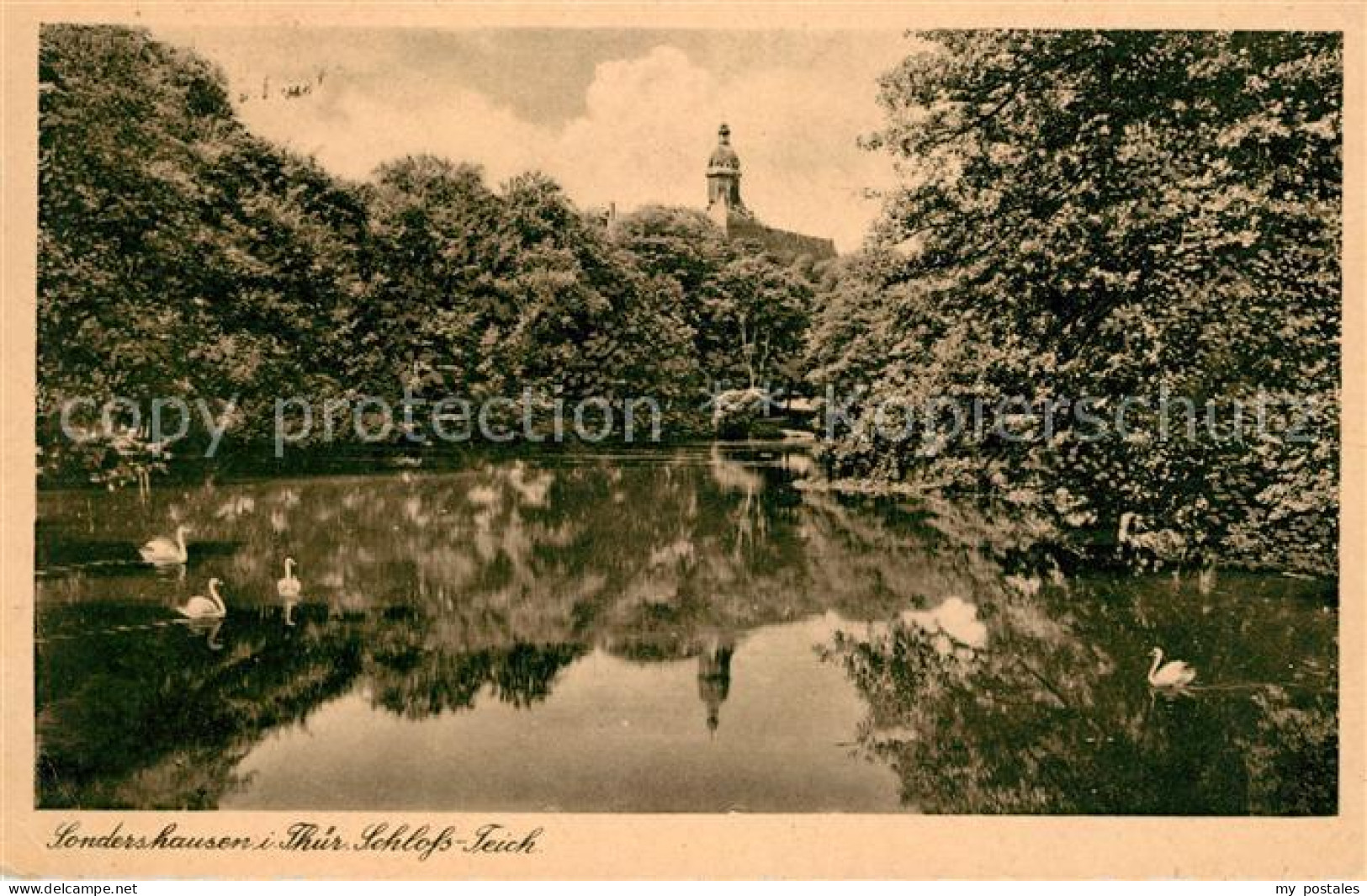 Sondershausen Thueringen Schlossteich Schwaene