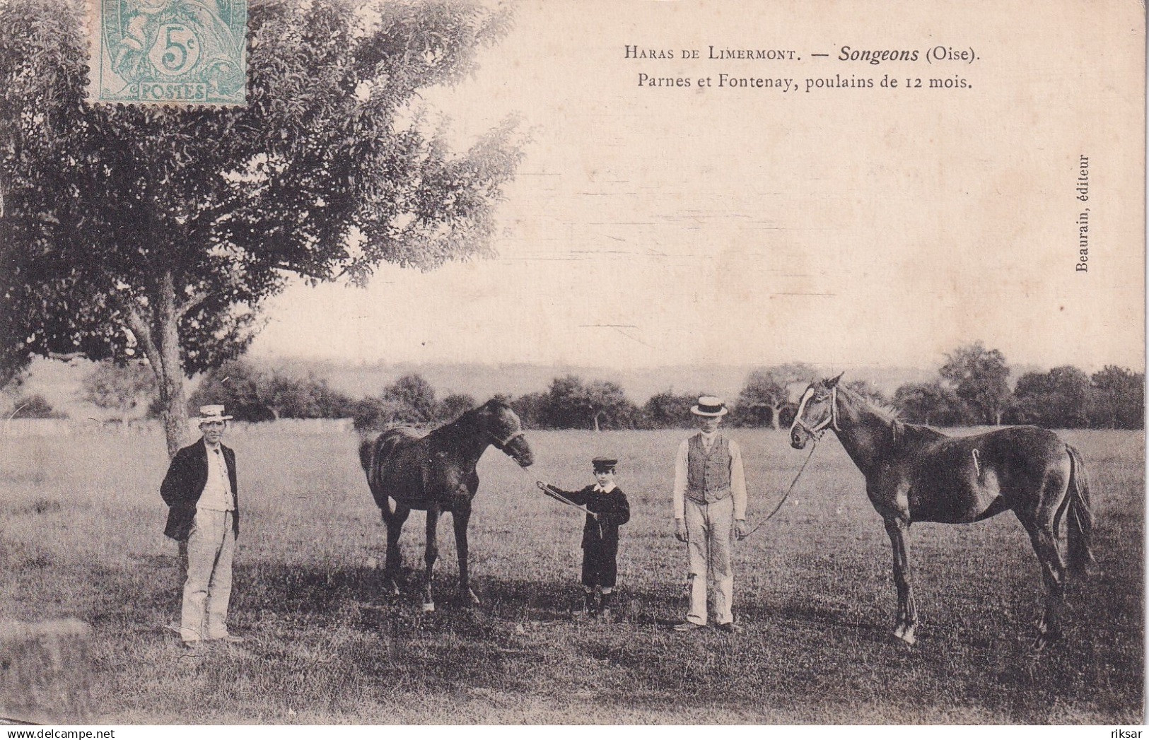 SONGEONS(HARAS DE LIMERMONT)