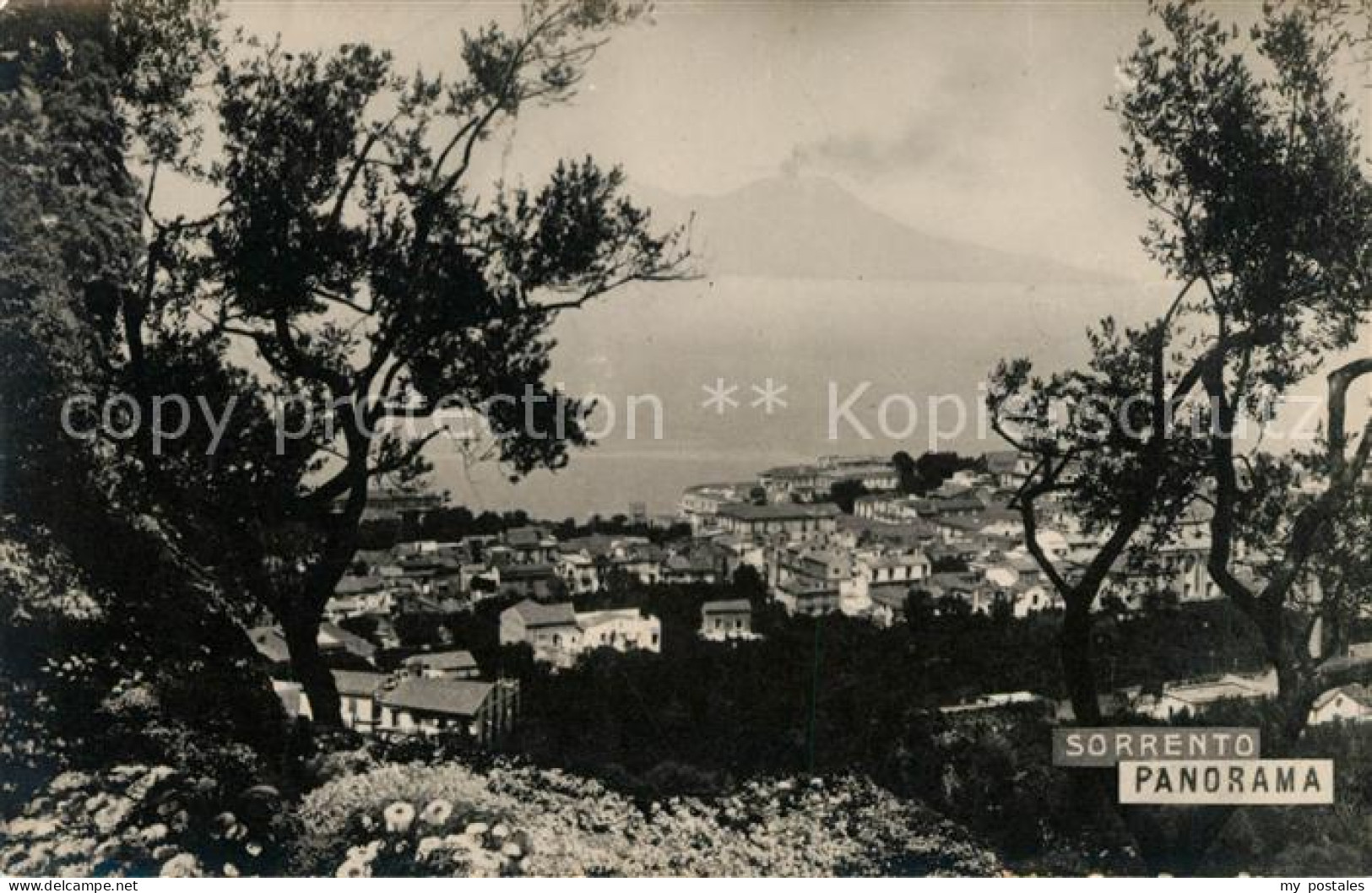 Sorrento Campania Panorama