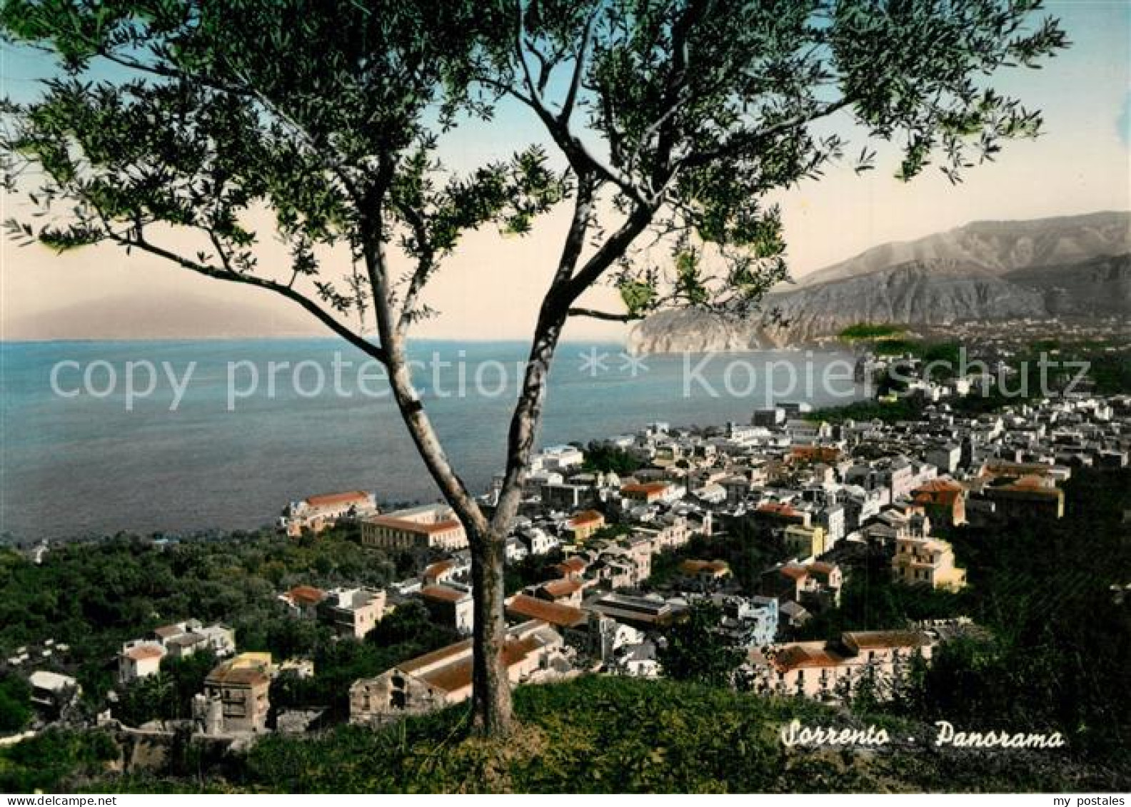 Sorrento Campania Panorama