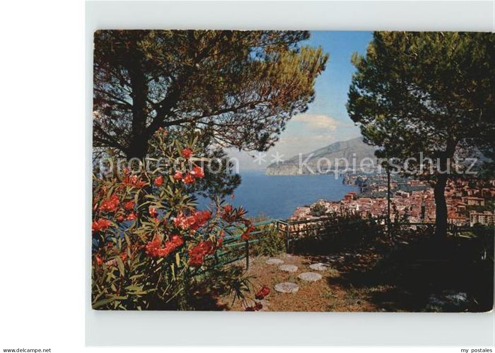 Sorrento Campania Panorama