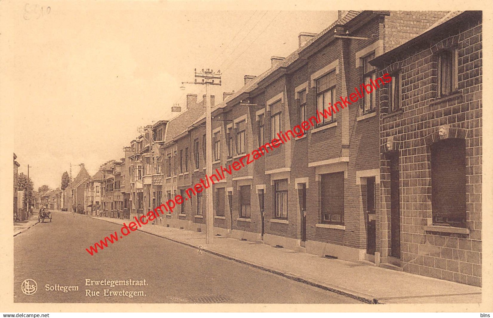 Sottegem - Erwetegemstraat - Rue Erwetegem - Zottegem