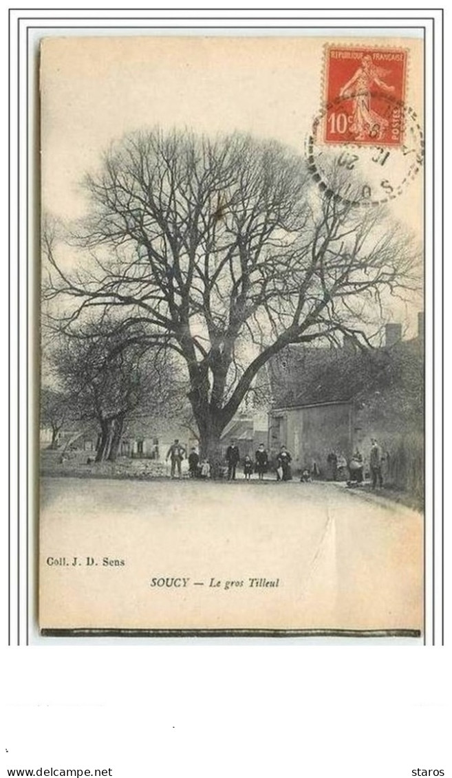 SOUCY Le gros Tilleul