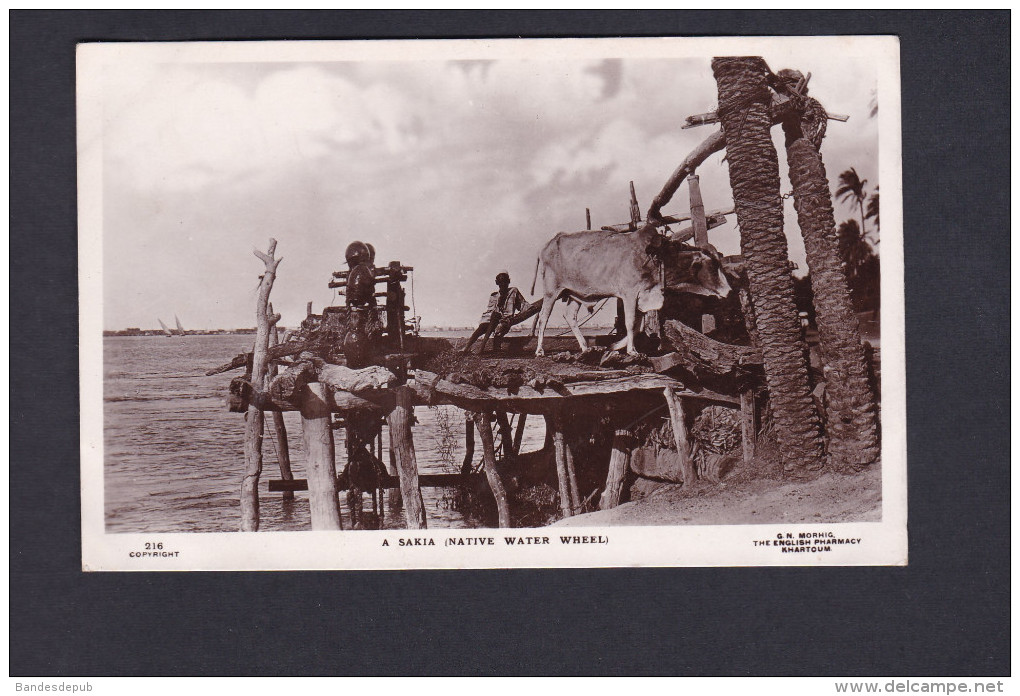 Soudan Sudan A sakia ( native water wheel ) ( Ed. Morhig The English Pharmacy Khartoum )