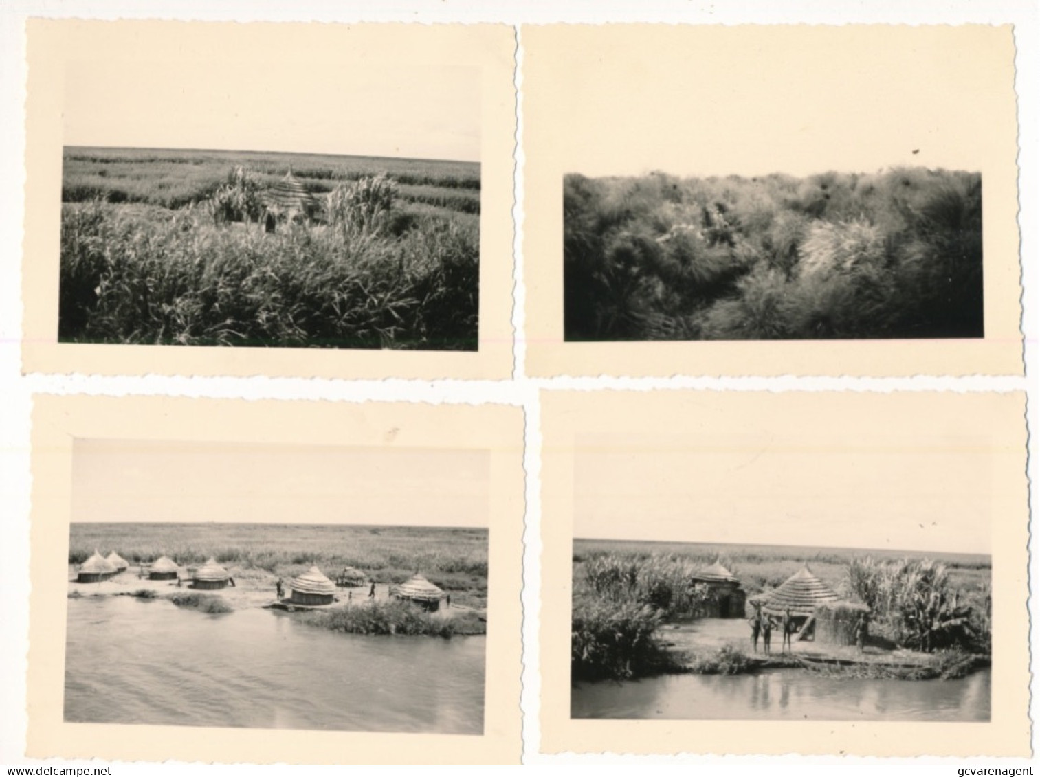 SOUDAN TRIP 1949  4. PHOTO'S  =  ENTRE SHAMBE ET JUBA