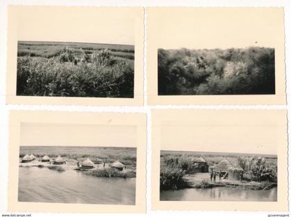 SOUDAN TRIP 1949  4. PHOTO'S  =  ENTRE SHAMBE ET JUBA