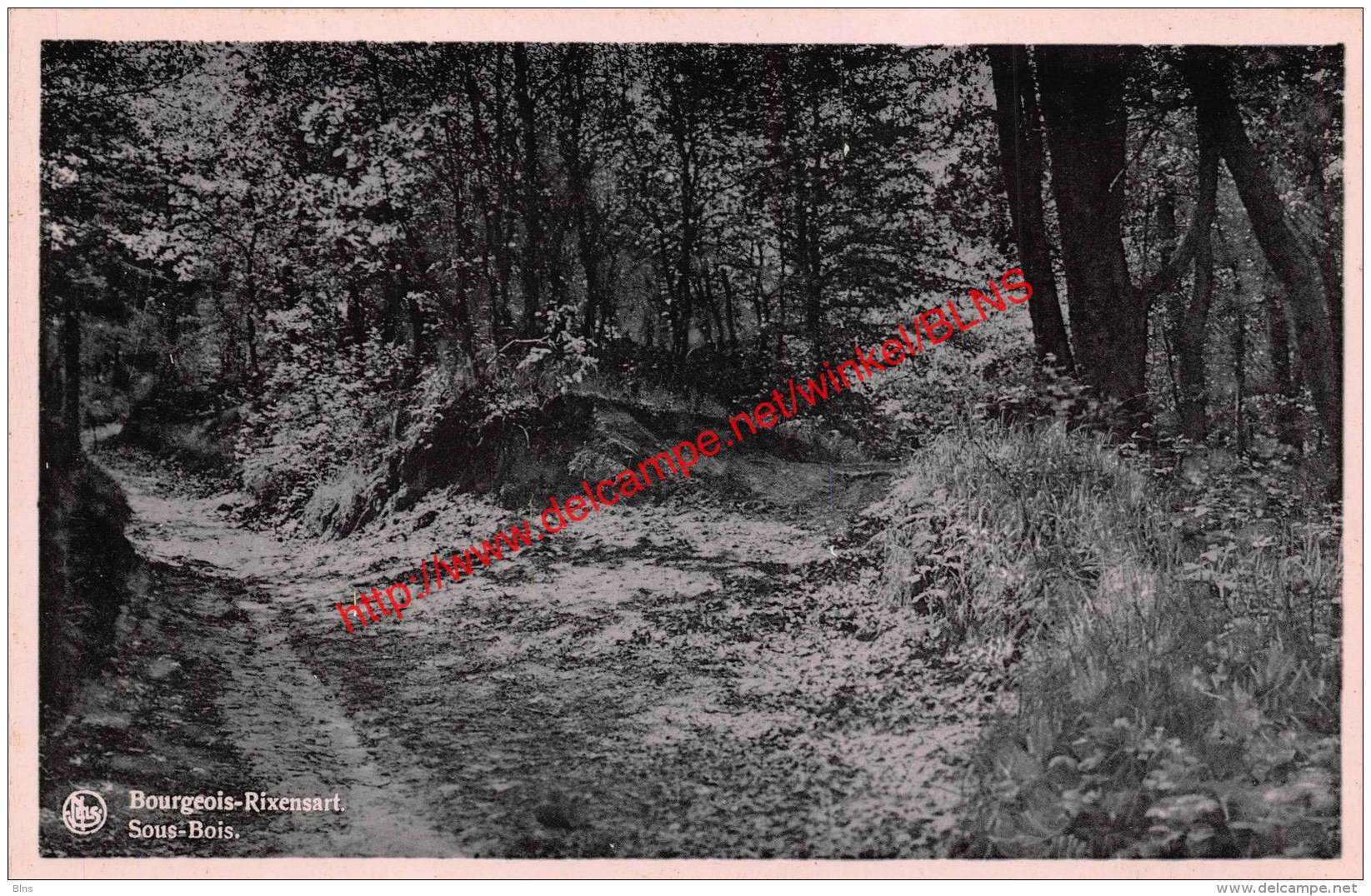Sous-Bois - Bourgeois - Rixensart