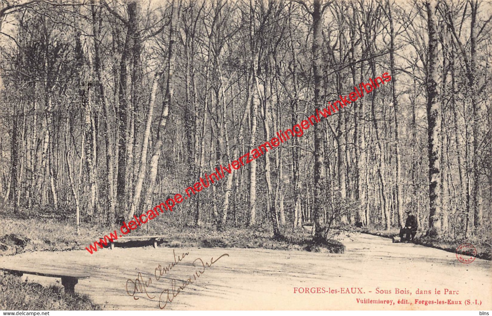 Sous-bois dans le Parc - Forges les Eaux - (76) Seine Maritime