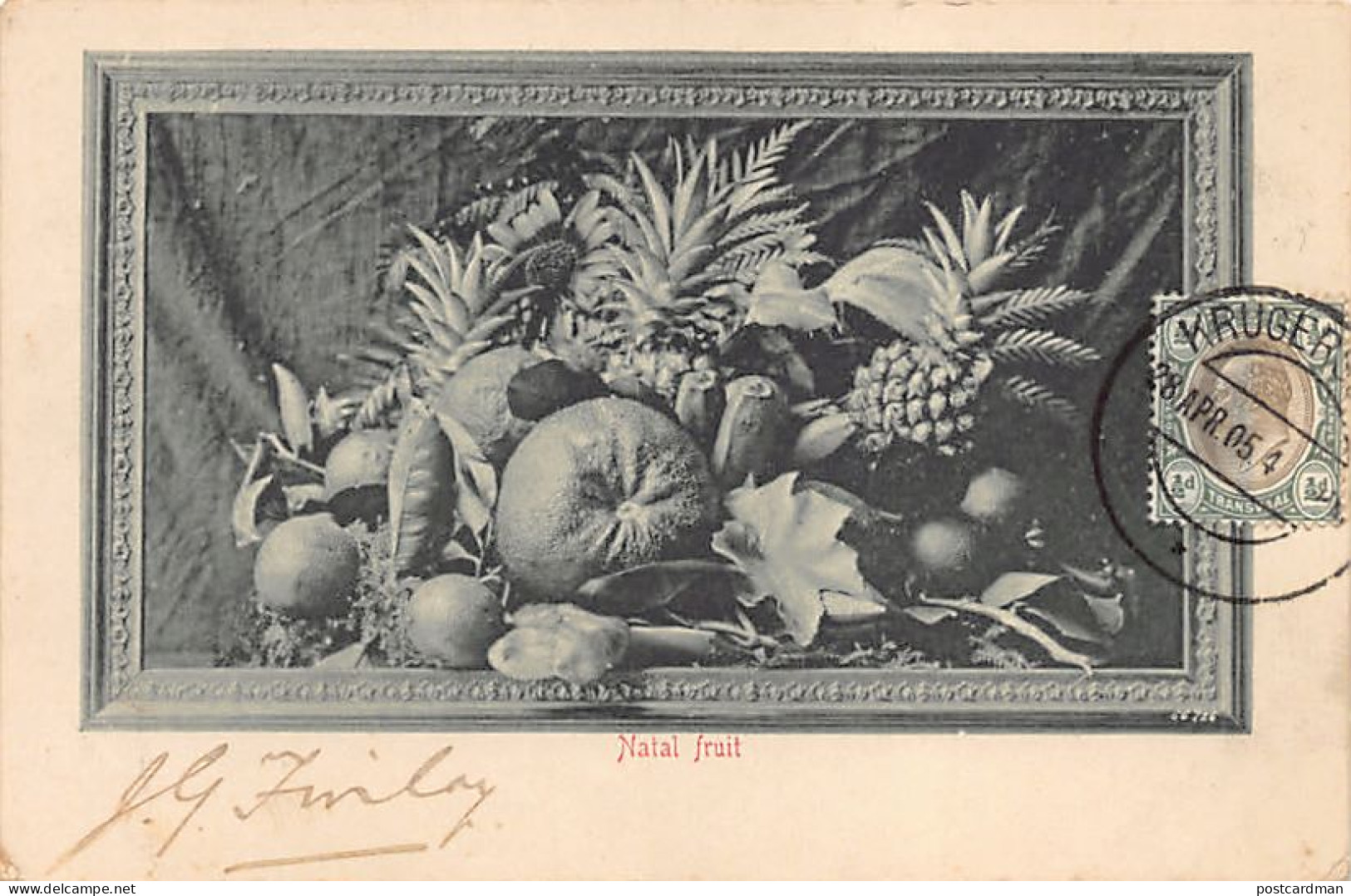 South Africa - Natal fruit
