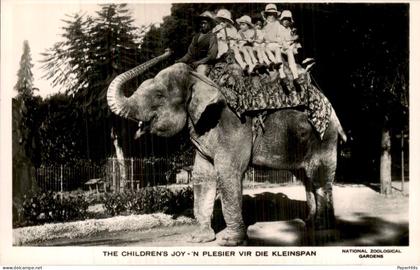 Afrika Africa - Zuid Afrika - Kleinspan