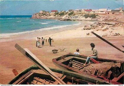 Afrique du Sud - Cape - Arniston near Bredatdorp - South Africa - CPM - Voir Scans Recto-Verso