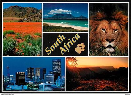 Carte Postale - Afrique du Sud - South Africa - Multivues - CPM - Voir Scans Recto-Verso - Poscard - Carta Postal -  Pos