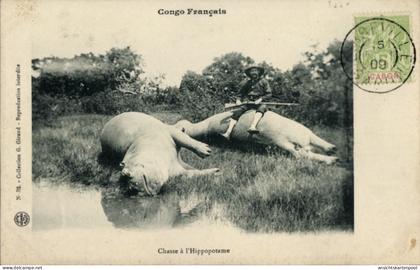 CPA Französisch Kongo, Nilpferdjagd