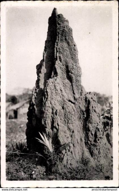 CPA Moyen Congo Französisch Kongo, Termitiere