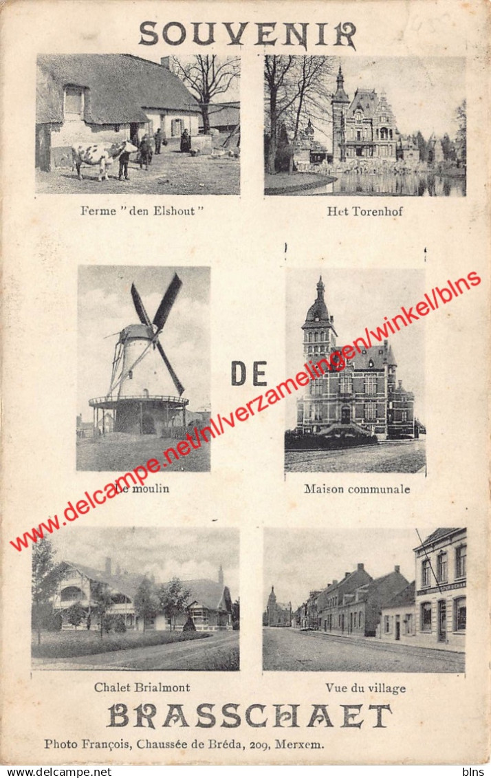 Souvenir de Brasschaet - Brasschaat