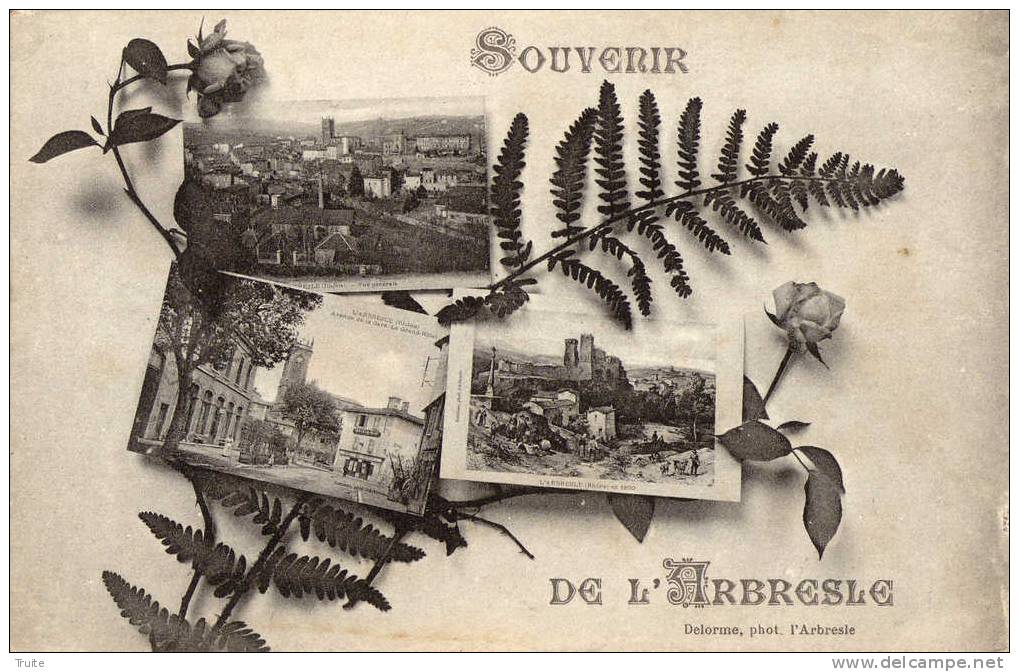 SOUVENIR DE L'ARBRESLE MULTICARTES