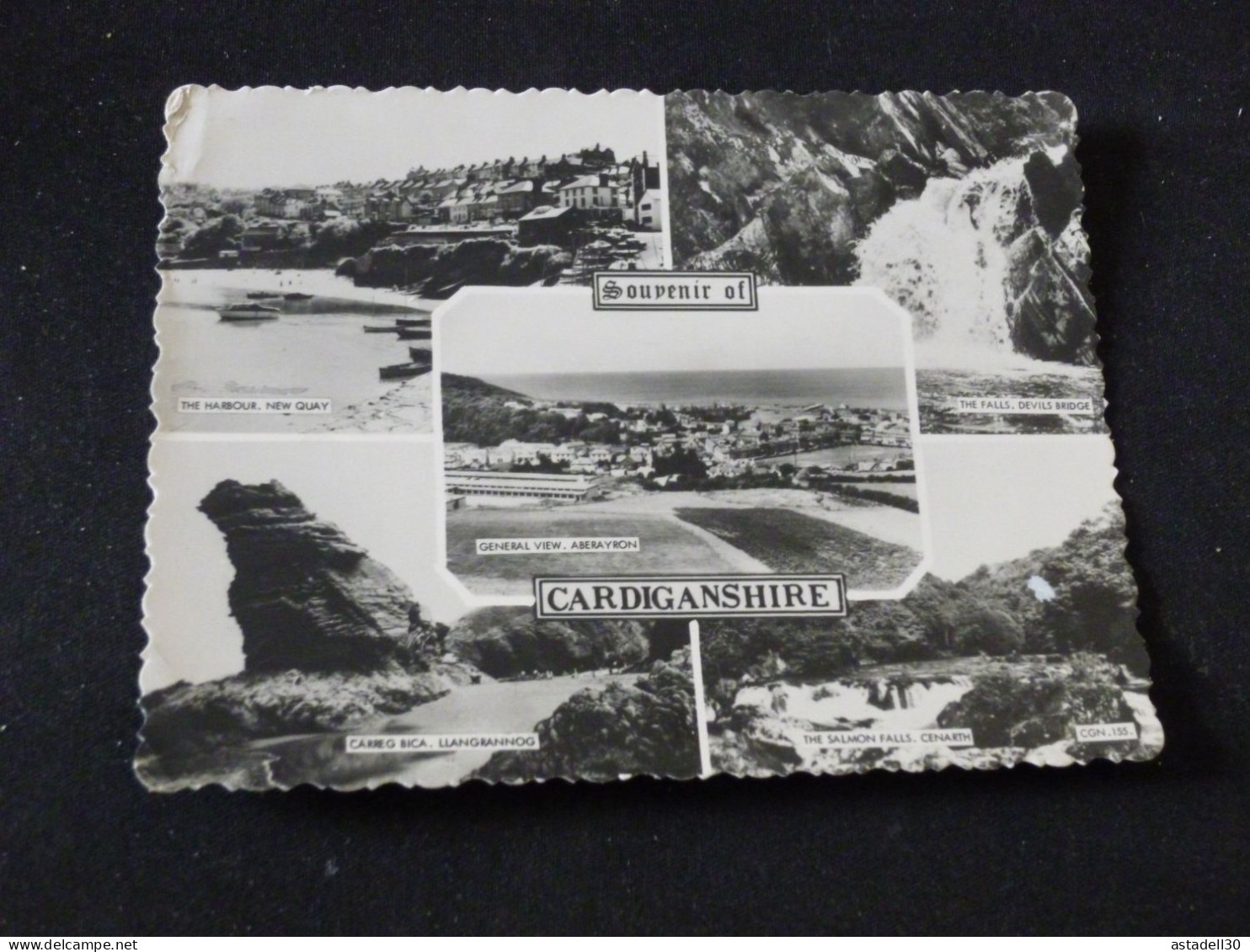 Souvenir of CARDIGANSHIRE  ......... G-2208