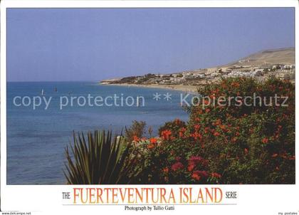 Fuerteventura Strandpanorama