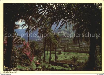 Islas Canarias Bodega Los Berrazales