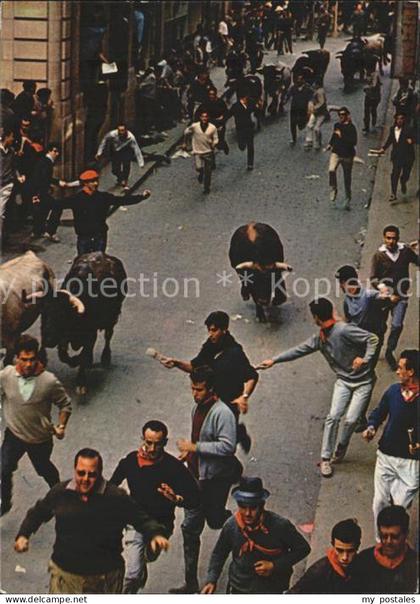 Pamplona Navarra Stierjagd