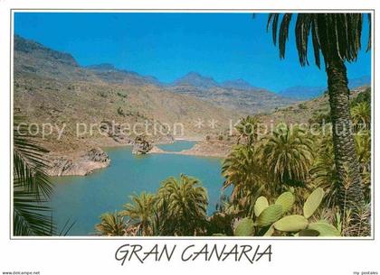 Santa Lucia Gran Canaria Panorama