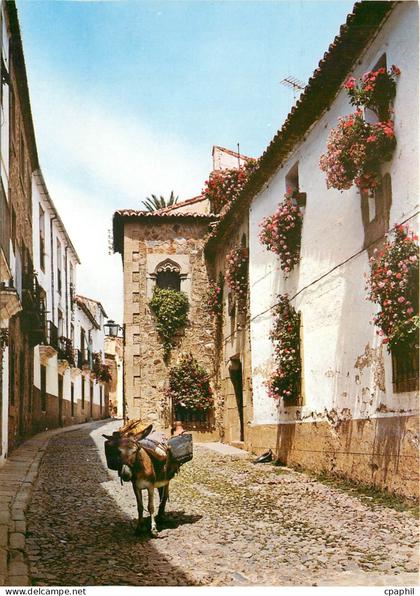 CPM Caceres Coin typique
