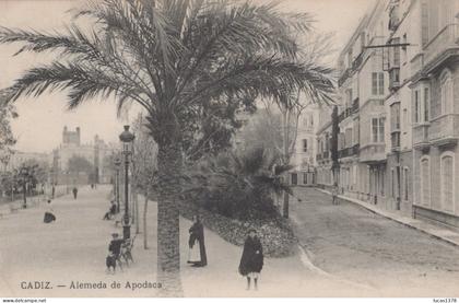 CADIZ / ALEMEDA DE APODACA