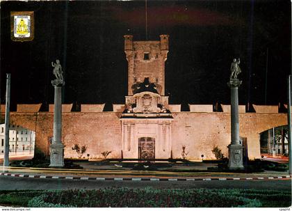 CPM Cadiz Porte de Terre Vue nocturne