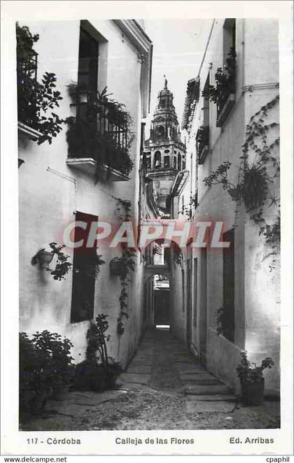 CPM Cordoba Calleja de las Flores