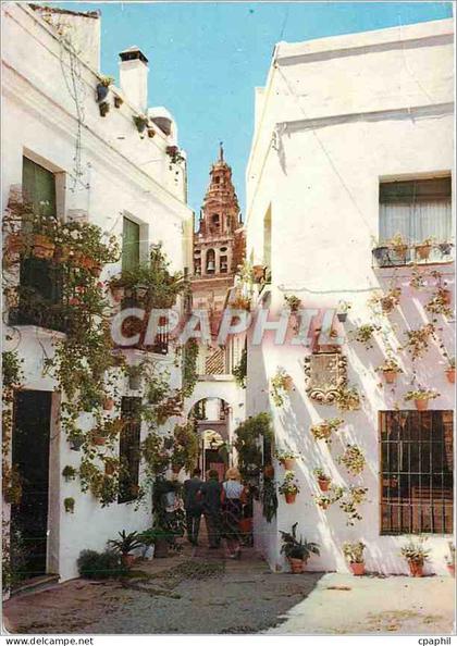CPM Cordoba Petit rue des Fleurs