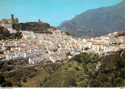 CPM Casares Malaga Vista parcial