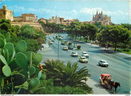 CPM Palma de mallorca
