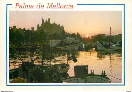 CPM Palma de mallorca catedral