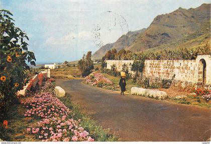 CPM Islas Canarias