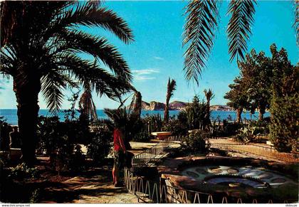 Carte Postale - Espagne - Espana - Comunidad Valenciana - Benidorm - Palmiers - CPM - Voir Scans Recto-Verso - Poscard -