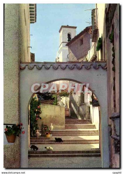 CPM Benidonm Alicante