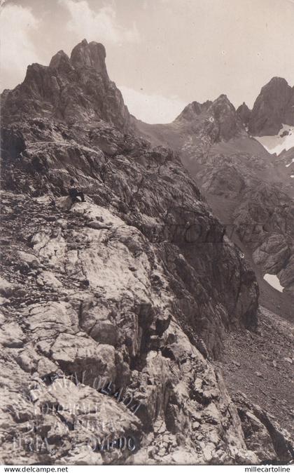 SPAIN - Asturias, Uria, Oviedo, Libreria Collada Photo Postcard