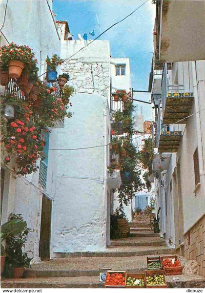 Espagne - Espana - Comunidad Valenciana - Peniscola - Calle tipica - Rue Tipique - Fleurs - CPM - Voir Scans Recto-Verso