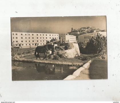 IBIZA (BALEARES) 176 NORIA TIPICA Y VIVIENDAS PROTEGIDAS