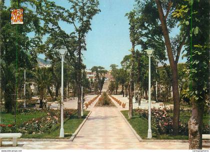 Spain Jaen - The Calvo Sotelo Poplar Grove
