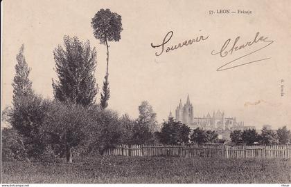 ESPAGNE(LEON) ARBRE