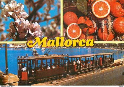 CPM Mallorca Train
