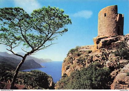 ESPAGNE BANALBUFAR TOUR DES AMES