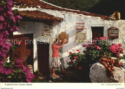 Islas Canarias Typical scene