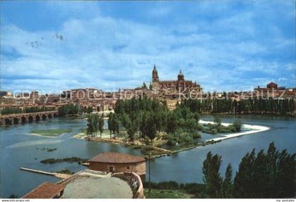 Salamanca Castilla y Leon Vista parcial