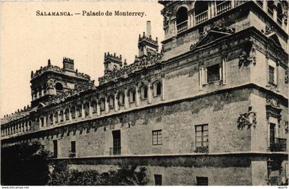 CPA SALAMANCA Palacio de Monterrey SPAIN (743502)