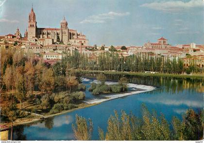 CPM Salamanca Vue Partielle